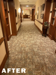 Carpet Hallway After Long View
